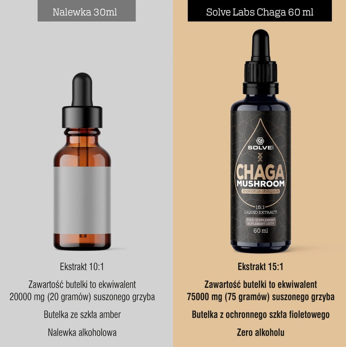 Solve Labs Chaga Mushroom Liquid Extract 60 ml Chaga - Sklep Witaminki.pl