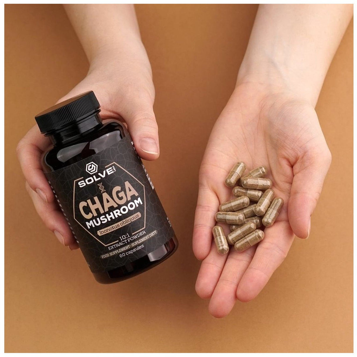 Chaga Solve Labs Chaga 60 caps - Sklep Witaminki.pl