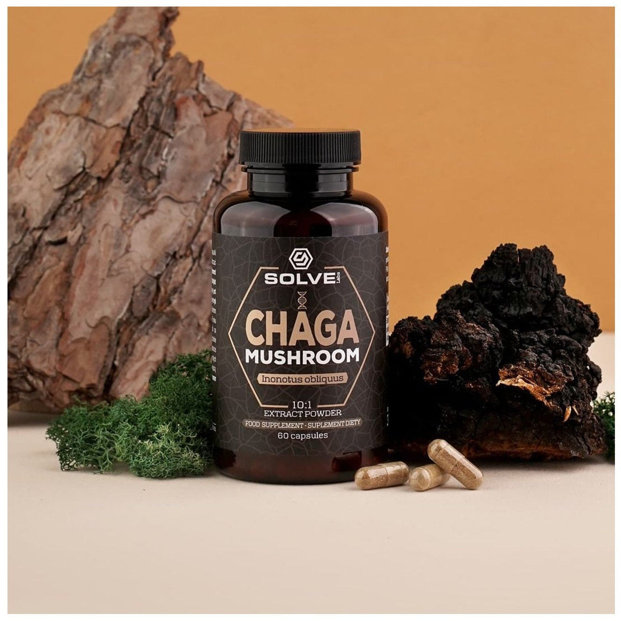 Chaga Solve Labs Chaga 60 caps - Sklep Witaminki.pl