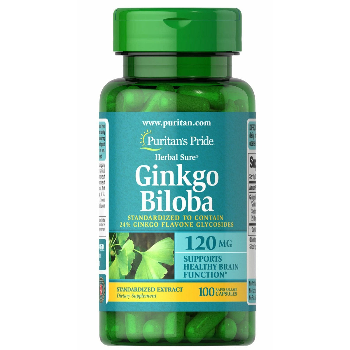 Puritan's Pride Ginkgo Biloba 120 mg 100 caps Ginkgo Biloba - Sklep Witaminki.pl