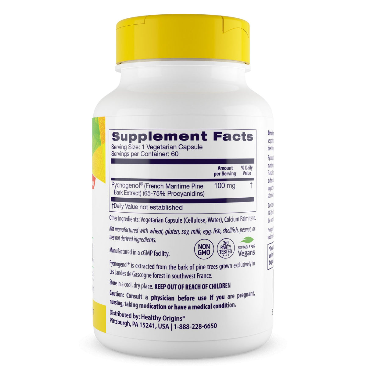 Healthy Origins Pycnogenol 100 mg 60 vcaps Ekstrakt z Kory Sosny - Sklep Witaminki.pl
