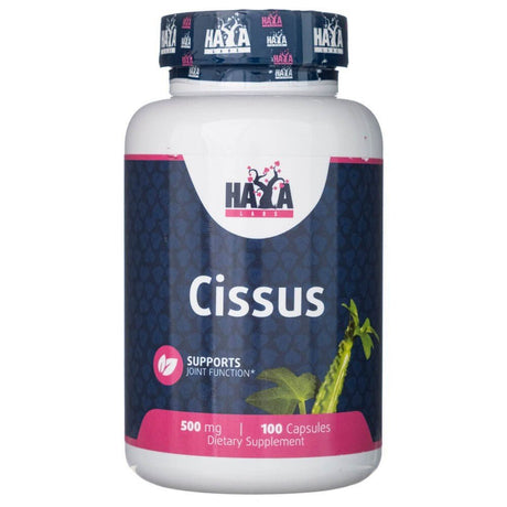 Haya Labs Cissus 500 mg 100 caps - Sklep Witaminki.pl
