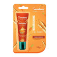 Himalaya Nourishing Lip Balm 10 g - Sklep Witaminki.pl