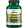 Kadzidłowiec Swanson Boswellia Serrata 500 mg 120 caps - Sklep Witaminki.pl