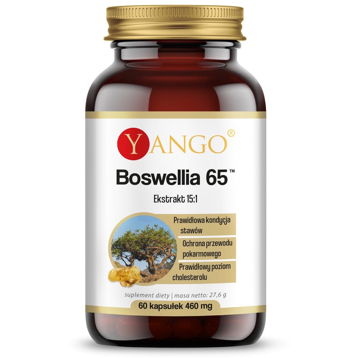 Kadzidłowiec Yango Boswellia 65 60 caps - Sklep Witaminki.pl