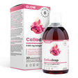 Kolagen Typu 1 + 3 Aura Herbals Colladrop Glow 5.000 mg w płynie 500 ml - Sklep Witaminki.pl